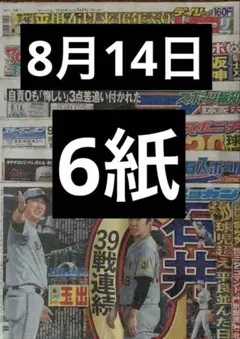 8月14日 スポーツ新聞6紙　まるごと　新品