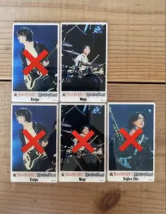Novelbright ランダムフォトカード【バラ売りOK】