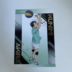 ハイキュー!! 国見英 アニメイト特典