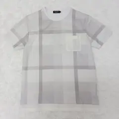Item thumbnail for item 3f520de0-d6a6-49ae-b9e3-65be3a5eed74
