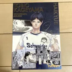 ハイキュー!! 箔押しイラストカードコレクション　影山飛雄