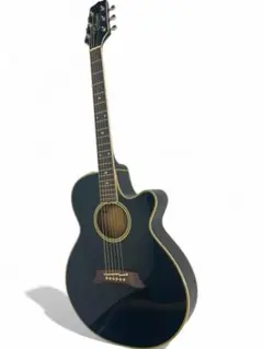 Takamine NPT-108(プリアンプ無し) タカミネ PT-108 プリアンプ無し takamine