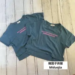 Item thumbnail for item 883f2839-fb8b-4067-b169-2ad1692743d7