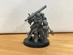warhammer 40k インドミトゥス　ネクロンのみ 説明書なし warhammer 40k インドミトゥス ネクロンのみ 説明書なし - メルカリ