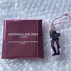 SMTOWN LIVE 2025 アクキー aespa ジゼル