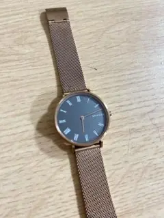 腕時計 レディース スカーゲン SKAGEN SKW2675