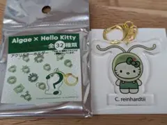藻キティAlgae x Hello Kitty キーホルダー コナミドリムシ