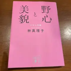 野心と美貌 中年心得帳