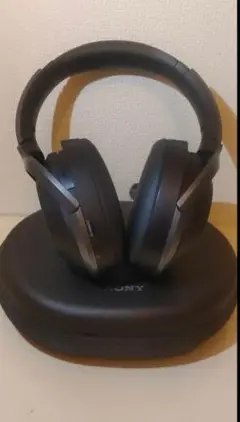 Item thumbnail for item be73048d-524d-40f0-a40f-f546f6ec25be