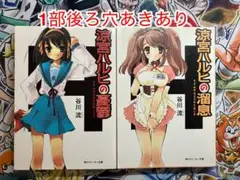 涼宮ハルヒの憂鬱 涼宮ハルヒの溜息 セット
