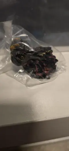 Item thumbnail for item b6778db7-a040-46e1-bbd5-dc04a6a58200