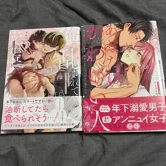 ＴＬコミックセット