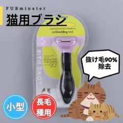 Item thumbnail for item 0f1be8d7-a283-40d3-863a-590ce5213118