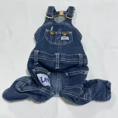 Item thumbnail for item ad9f4023-c99b-4296-b730-3a69a3d1a39d