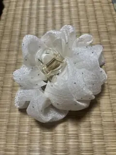 ヘアクリップ 未使用に近い