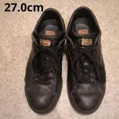 Item thumbnail for item b0035484-c7ac-4829-89f4-28fdfec0402b