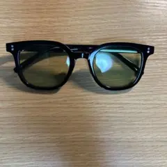 ブラックフレーム グリーンレンズ サングラス