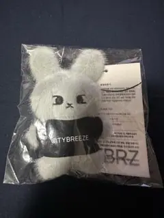 2025年最新】citybreeze ドヨンの人気アイテム - メルカリ