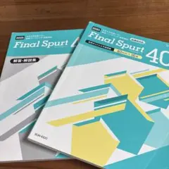 Final Spurt 2025 英語リーディング