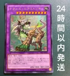 遊戯王　ナチュル・エクストリオ　シークレット　1枚　ナチュルエクストリオ