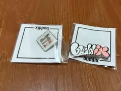 ファンタ buddix ピンバッジ2種セット