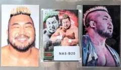 プロレスリング・ノア　マサ北宮　トレカ、ウェブポン
