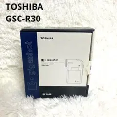 【未使用級】小型軽量！ TOSHIBA ビデオカメラ GSC-R30 Amazon | Toshiba Gigashot GSC-R30 30GB 2MP ハードディスク