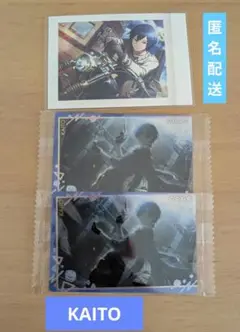 KAITO　ウエハースカード10　ぱしゃこれ　プロセカ