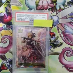 2025年最新】シャドバ エボルヴ オーレリアの人気アイテム