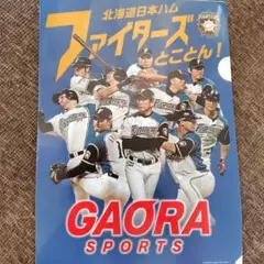 「GAORA×日本ハムファイターズ」 非売品クリアファイル☆栗山英樹