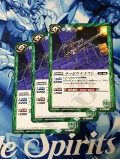 BSC44 テッポウナナフシ 緑 3枚