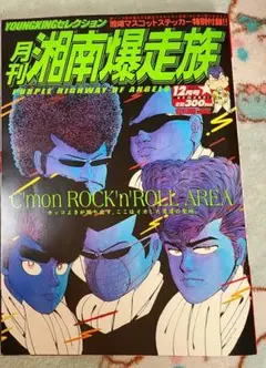 月刊湘南爆走族ヤングキングセレクション全20号　バンダナあり　レア 月刊湘南爆走族 全20冊セット2003(H15)10.02~2005(H17)05.01