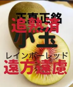 静岡農家直送 1キロ小玉 追熟済 レインボーレッドと紅妃キウイフルーツ