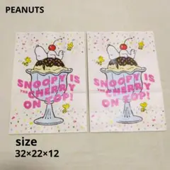 Item thumbnail for item 56fa033b-9c88-4a84-8f56-76a76991ff51
