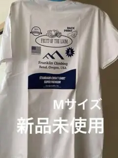 FRUIT OF THE LOOM Franklin Climbing Tシャツ