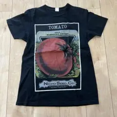 Niche ニッチ トマトグラフィック Tシャツ M