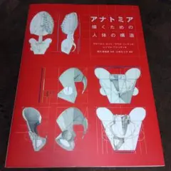 アナトミア 描くための人体の構造