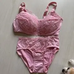 トリンプ　ピンク レース付きブラジャーショーツセット