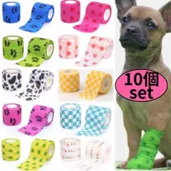 Item thumbnail for item 86e54814-83ba-44fc-bb03-d7fe49b443c3