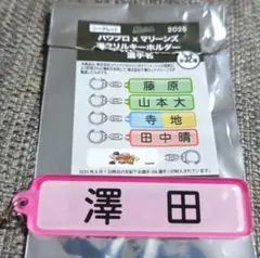 千葉ロッテマリーンズ×パワプロ　澤田圭佑　キーホルダー　選手名