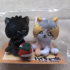 ハイキュー‼︎ 黒尾ネコ　マスコット　ぬいぐるみ2個セット ハイキュー‼︎ 黒尾ネコ マスコット ぬいぐるみ2個セット