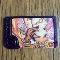 ⭐︎即購入可⭐︎ポケモンフレンダピック　ウインディ　スーパートレジャー　まとめ割