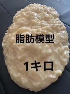 Amazon.co.jp: 脂肪サンプル 脂肪模型 食品サンプル 実物重量