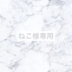 専用ページ