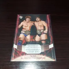 セイヤ・サナダ & マナブ・ソヤ タッグチームカード