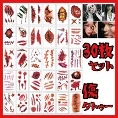 Item thumbnail for item c83114ef-4159-4e5e-b92b-cf75c729e2e1