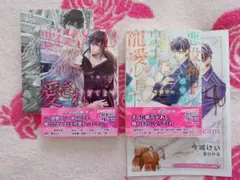 今城けい　幻冬舎ルチル文庫　２冊セット