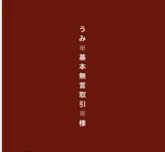 専用　ホイップデコ　硬質カードケース