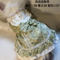 Item thumbnail for item 0c7d3c76-5fc8-4c5f-9ba4-7fedcb6d83dc