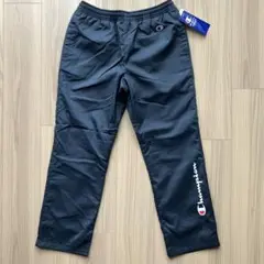 Item thumbnail for item 1dad1c08-4ce6-4acd-a9b7-d6d45b3db147